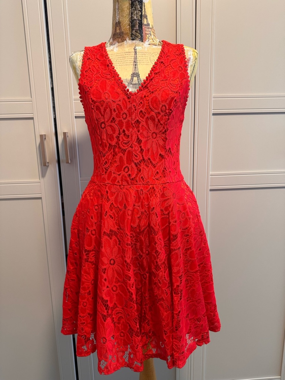 Francesca's Collections Red Floral Lace V-Neck Mini Dress